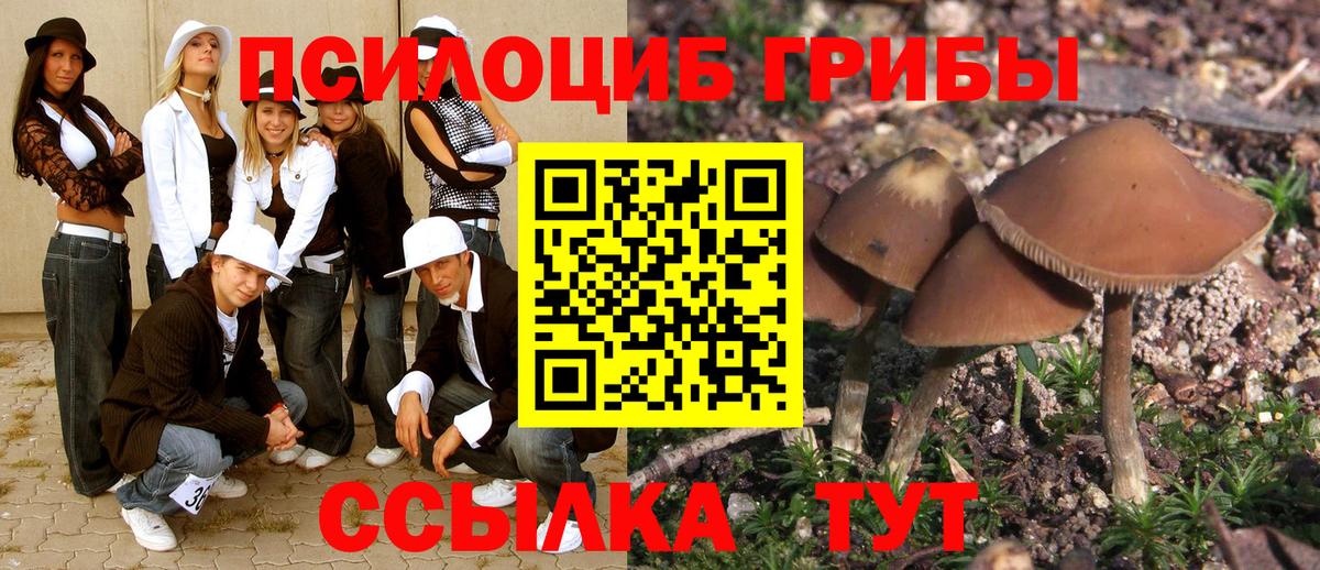 Псилоцибиновые грибы ЛСД Рославль