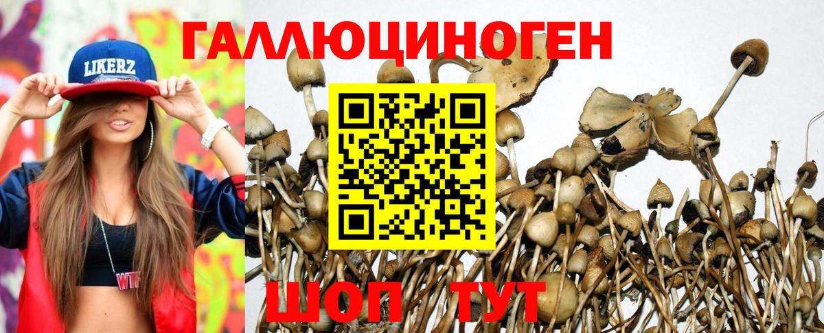 Рославль  Псилоцибиновые грибы прущие грибы  Галлюциногенные грибы Magic Shrooms  Вход с VPN 